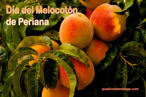 Día del Melocotón de Periana