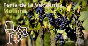 Feria de la vendimia de Mollina