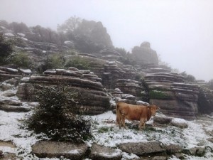 Nevada primaveral en el Torcal de Antequera (30/04/13)