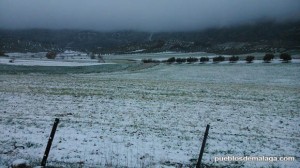 Campo nevado en Alfarnate, el pueblo de la cerezas en la Axarquía malagueña