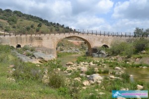 El río Campanillas pasa bajo el Puente de Las Palomas de Almogía
