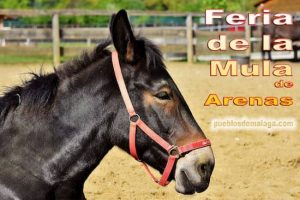 Feria de la Mula de Arenas