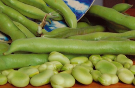 Habas frescas en vaina y desgranadas, producto protagonista del Día de la Haba en Villanueva de la Concepción