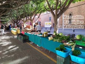 Mercadillo Ecológico de la Malagueta