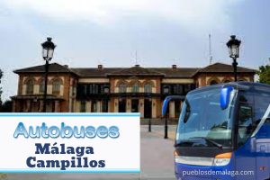 Autobuses Málaga Campillos y Campillos a Málaga: información, líneas, etc.